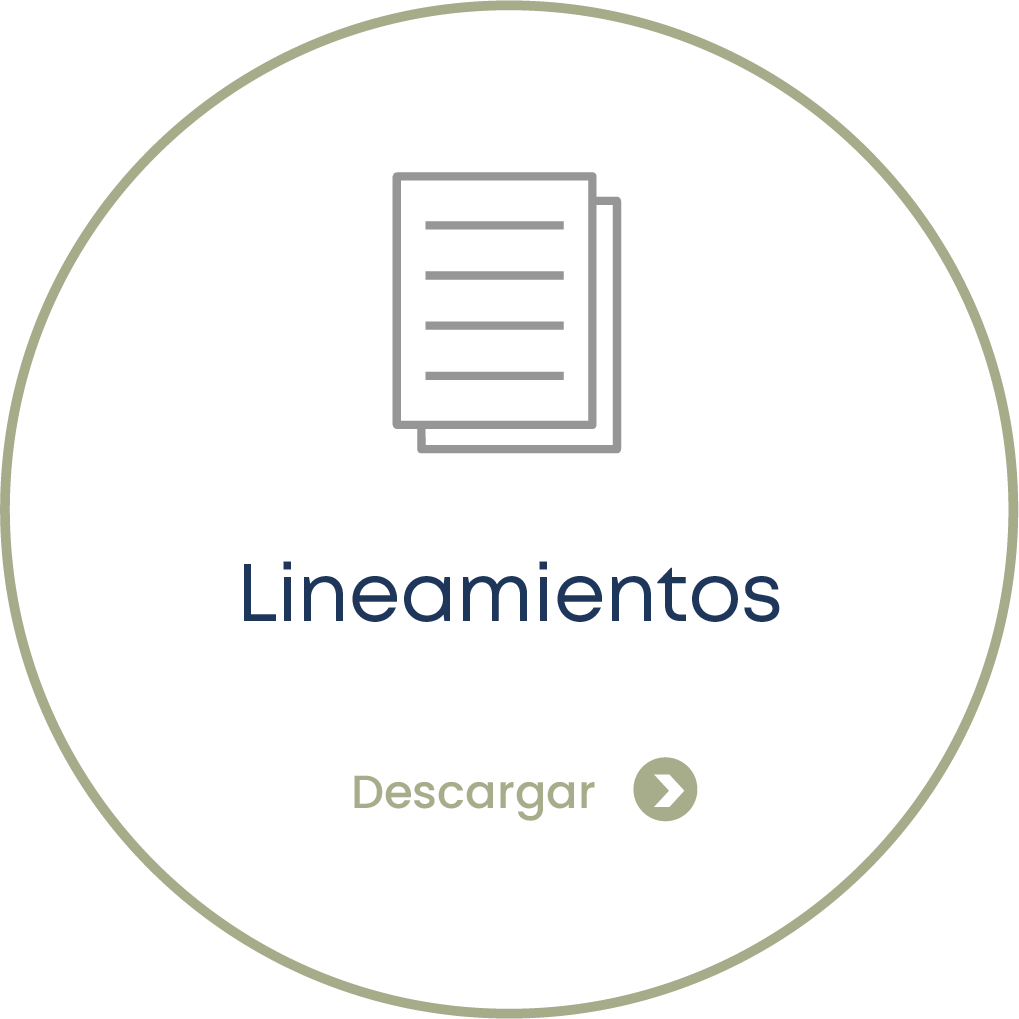 Lineamientos