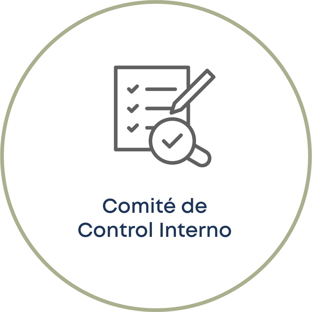 Comité de Control Interno