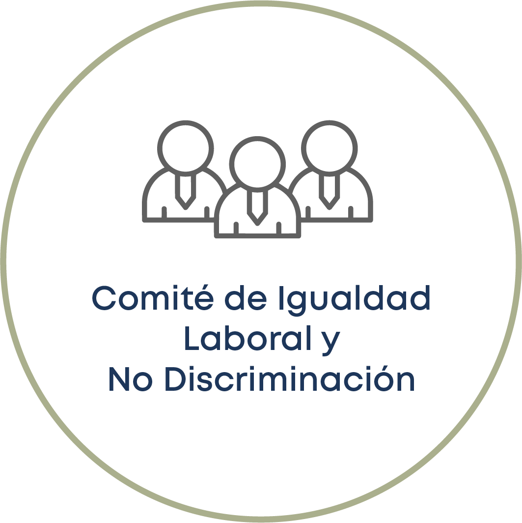 Comité de Igualdad Laboral y No Discriminación